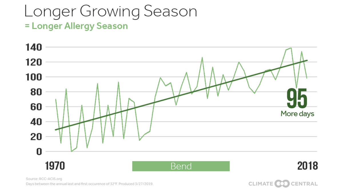 Your Changing Allergy Season