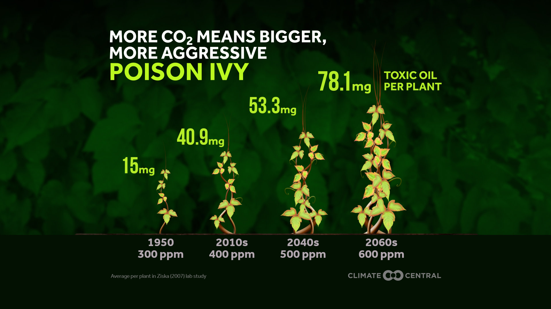 Hiking Hazards: Ticks and Poison Ivy