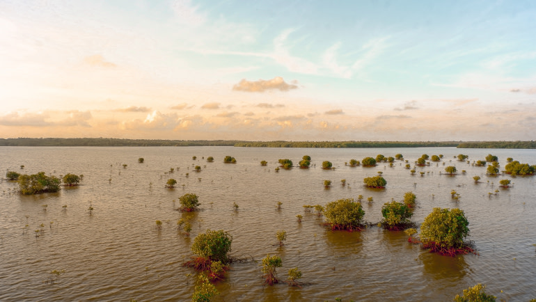 Coastal Flood Risk to Affordable Housing Projected to Triple by 2050