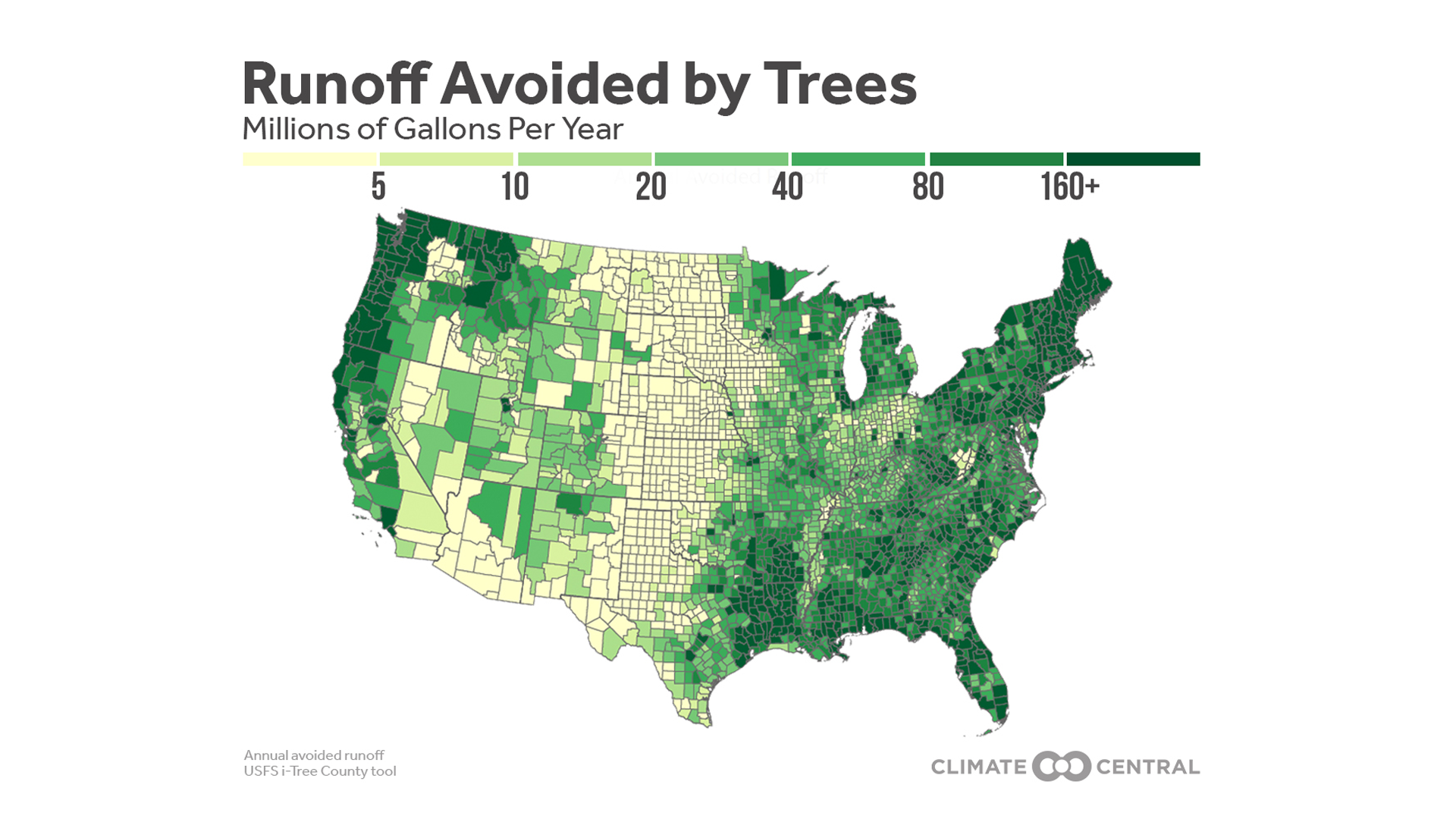 To Control Stormwater, Plant a Tree