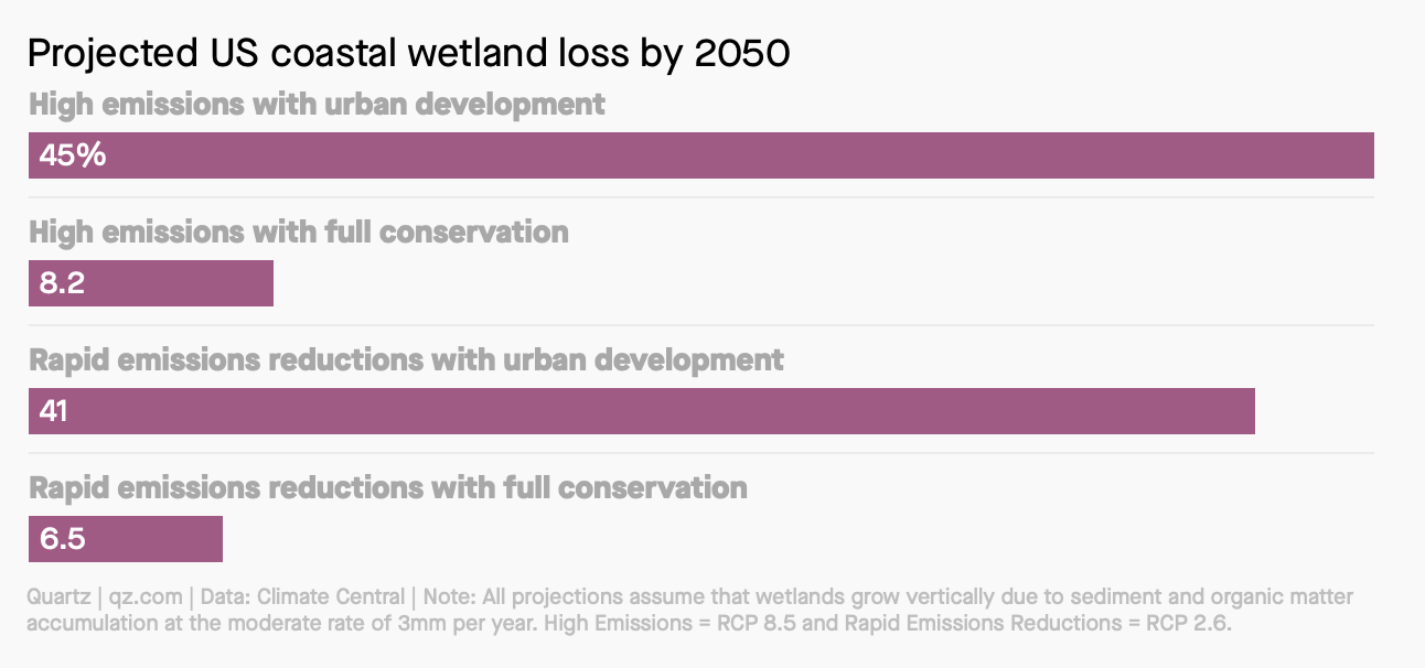 PJ: US coastal wetlands, Quartz 2